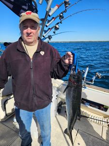 Fresh caught fish displayed on fishing charter boat in Port Washington WI