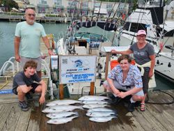 Fishing charter displaying multiple fish species caught during Port Washington WI fishing trip