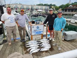 Successful fishing charter showing multiple caught fish displayed on dock in Port Washington WI