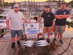 Successful fishing charter results displayed on dock at Port Washington WI marina with caught fish
