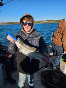 Successful fishing trip in Port Washington WI with caught fish displayed on charter boat
