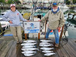 Successful fishing charter catch of Chinook and Coho salmon displayed on dock in Port Washington WI