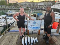 Fresh caught Chinook and Coho salmon displayed on dock after fishing charter in Port Washington WI