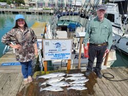 Successful fishing charter displaying pink salmon and coho salmon catch on dock in Port Washington WI