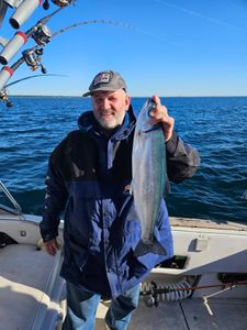 Sockeye salmon catch displayed on fishing boat in Port Washington WI