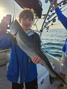 Large striped bass caught during fishing charter in Port Washington WI