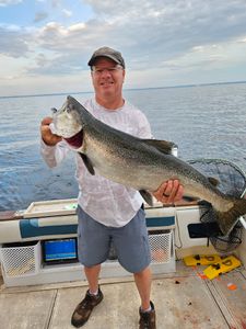 One rainbow trout caught in Port Washington