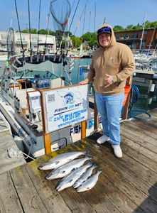 Two fish caught while cruising and fishing in WI