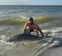 Another awesome catch!