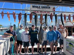 Reel in success with Islamorada's best fishing gui