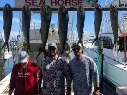 Best Florida Offshore Fishing Experience