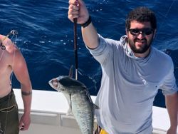 Hooked a Barracuda in Florida Keys