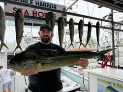 7 cero mackerel, king mackerel, and bluefish caught in FL