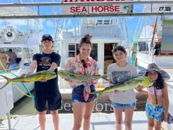 Catch of the day: 3 big fish in Islamorada