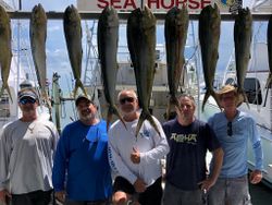 8 cero mackerel and bluefish fish caught in FL