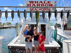 Eleven Little Tunny and Atlantic Bonito fish caught in FL