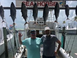 7 huge Blackfin Tuna fish caught while fishing in FL