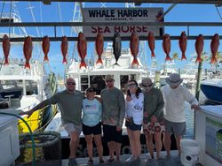 13 Blackfin Tuna fish caught while fishing in FL