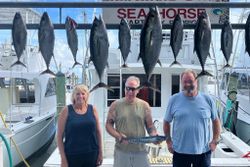 8 big Blackfin Tuna and Great Snakehead fish caught in Islamorada