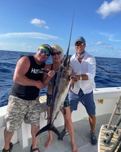 A huge Blue Marlin fish caught while fishing in FL