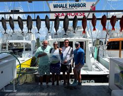 12 blackfin tuna and atlantic bonito fish caught by 4 people fishing in Islamorada
