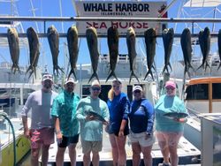 10 fish caught in Florida while fishing