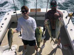 Cero mackerel, 4 fish caught fishing in FL
