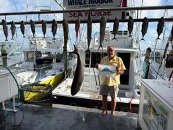 9 cero mackerel caught while fishing in Islamorada