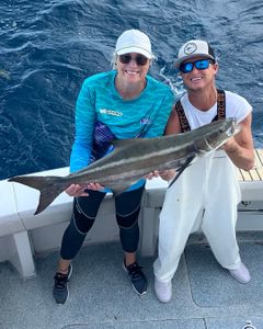 Cobia fish caught in FL during fishing trip