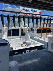 5 fish caught while fishing in FL