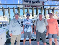 11 fishing in Florida