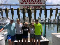 Fishing adventure in Florida with 10 big fish