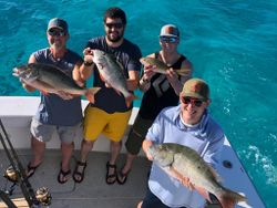 Three big fish caught while fishing in Florida