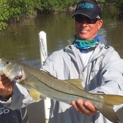 Snook fish caught while fishing in FL