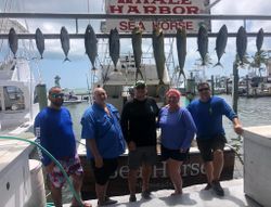 7 fish caught while fishing in FL
