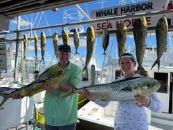 9 fish caught during fishing trip in Islamorada