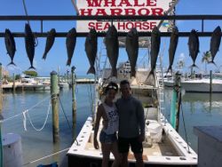 8 fish caught in Islamorada, Florida during a fishing trip