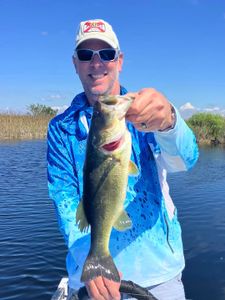 Florida Bass fish caught in Islamorada
