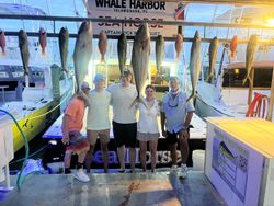 10 great greater amberjack fish caught in Islamorada