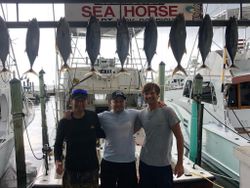 Eight big fish caught while fishing in Florida