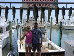 9 Blackfin Tuna and Bluefish caught while fishing in Islamorada