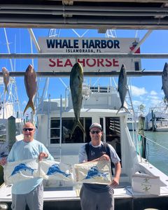 Four big fish caught by two anglers in Islamorada
