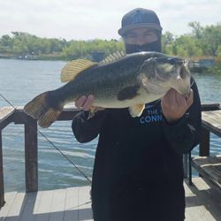 Large bass fish catch displayed on wooden dock in Islamorada FL