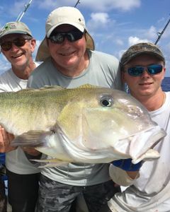 Three anglers displaying large fish catch during fishing trip in Islamorada FL