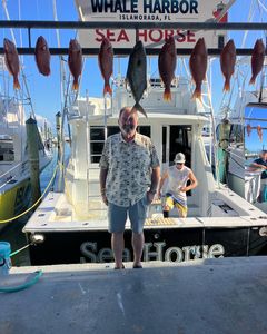 7 fishing in Islamorada