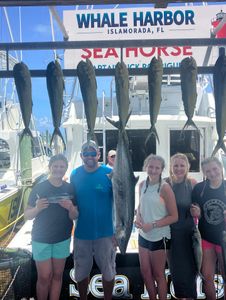 7 Mahi Mahi and Cero Mackerel fish caught during fishing in Islamorada