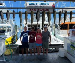 13 Blackfin Tuna, Cero Mackerel, Mahi Mahi, and Little Tunny caught in Islamorada, Florida