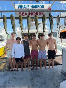 Seven mahi mahi and one blackfin tuna hanging on display at fishing charter dock in Islamorada FL