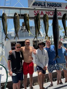 Seven fish including mahi mahi and wahoo caught during fishing charter in Islamorada FL