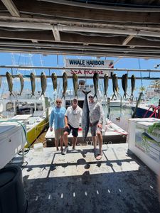 Successful fishing trip displaying multiple mahi mahi and wahoo fish caught in Islamorada FL